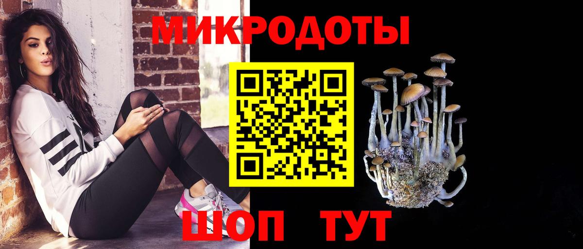 Псилоцибиновые грибы Psilocybe  Псилоцибиновые грибы мухоморы  Вход с VPN  Пыть-Ях 